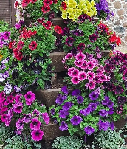 Gasthuis Puhkemaja Nina