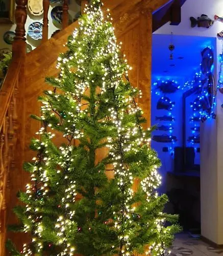 Gasthuis Puhkemaja 3*